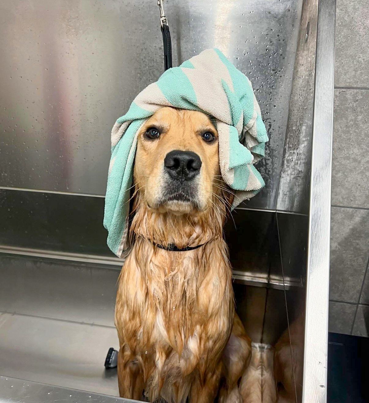 Bathing Services