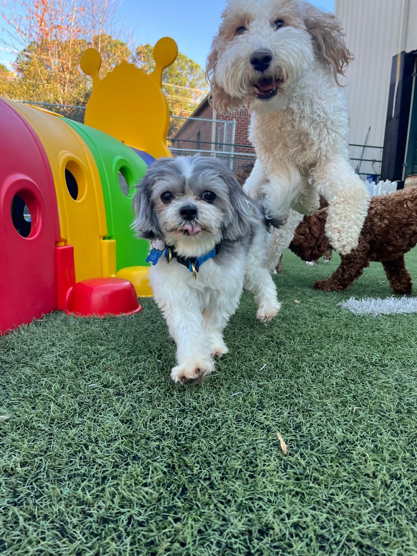 Personalized Play Sessions