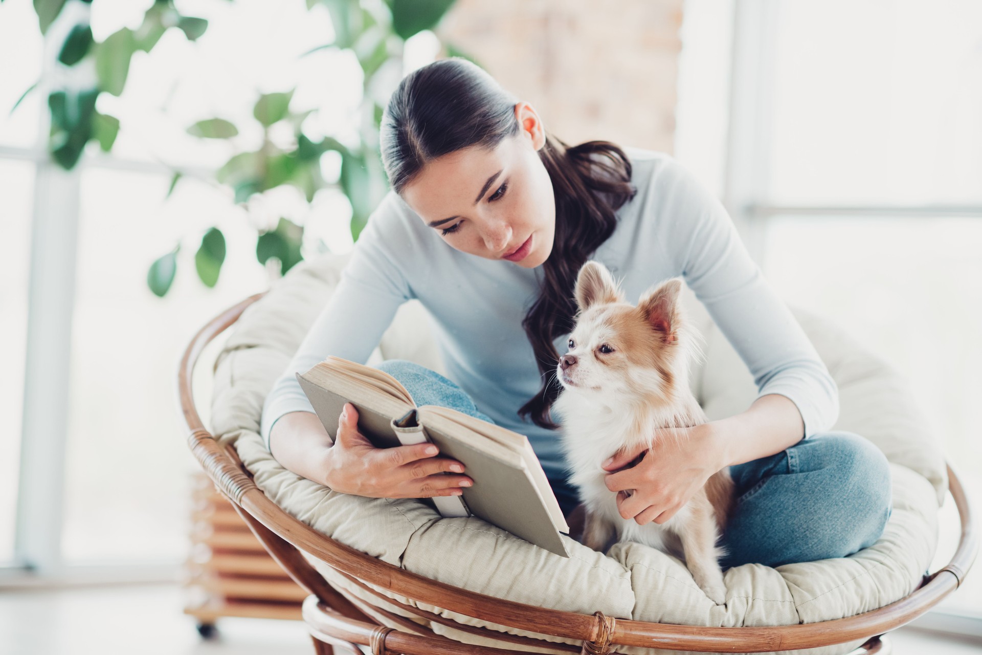 Young woman reading a book and spending time with dog in a cozy home setting